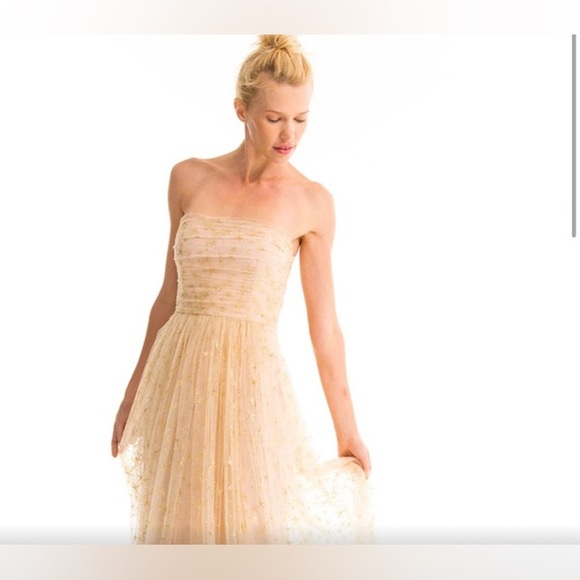 BHLDN x Joanna August | Brenda Star Tulle maxi dress Size 8 NWT - Picture 3 of 16